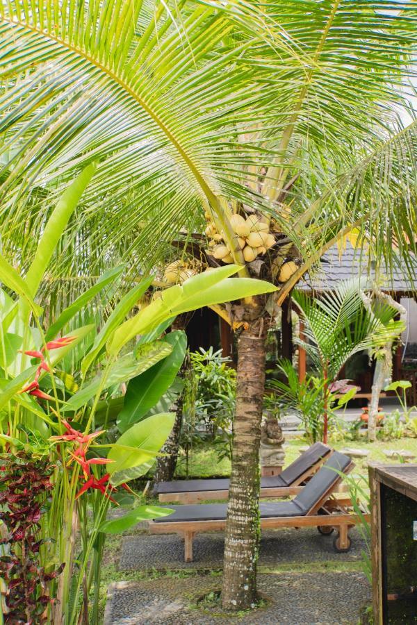 Mancur Guesthouse Ubud  Ngoại thất bức ảnh