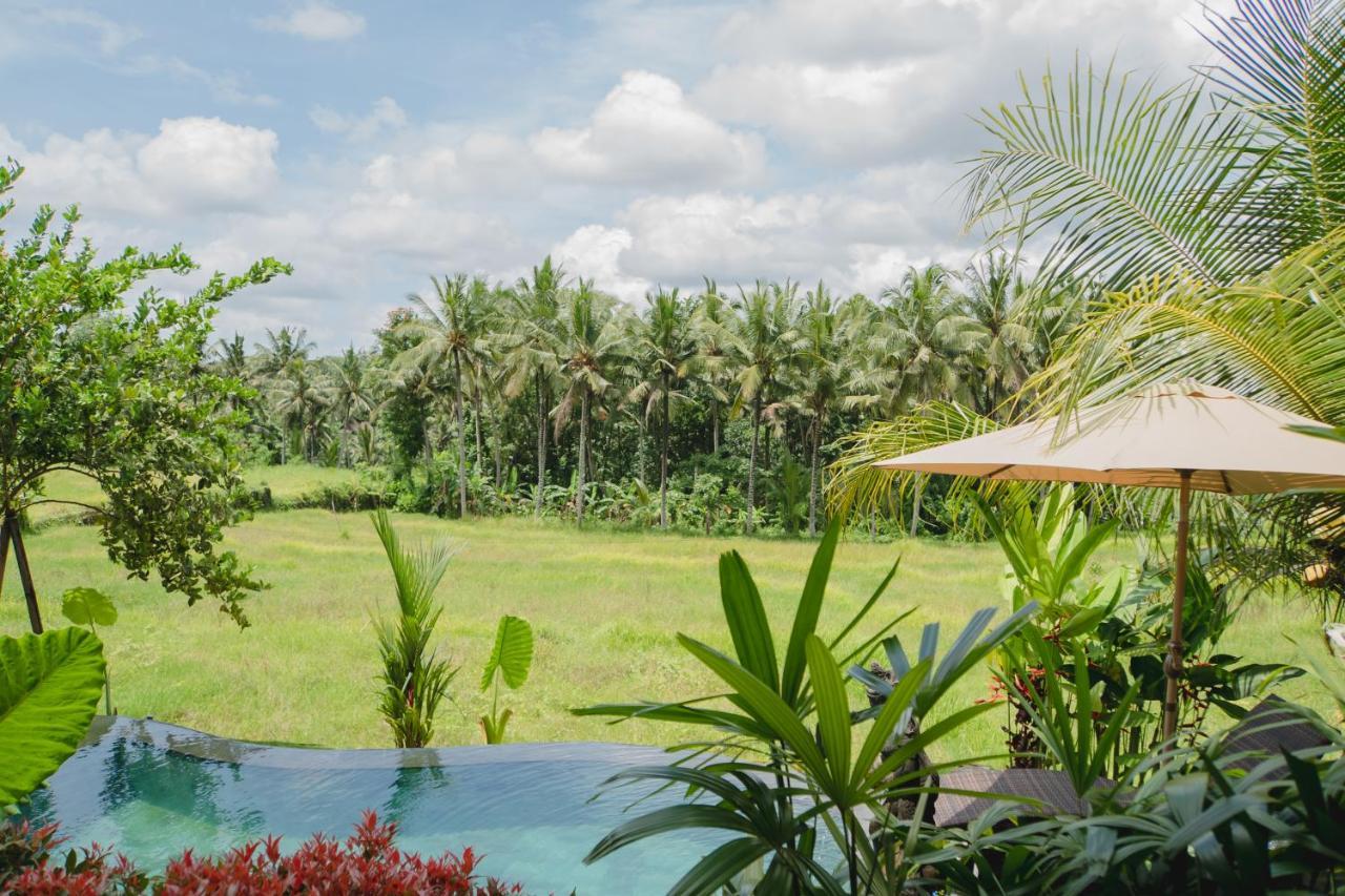 Mancur Guesthouse Ubud  Ngoại thất bức ảnh