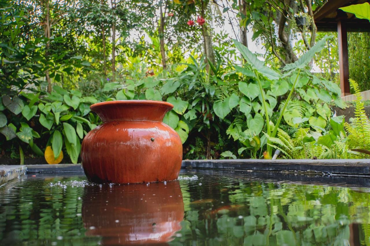 Mancur Guesthouse Ubud  Ngoại thất bức ảnh
