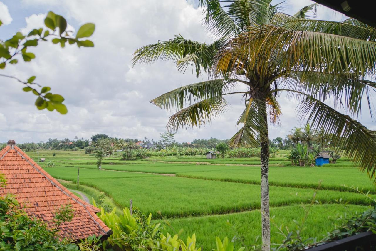 Mancur Guesthouse Ubud  Ngoại thất bức ảnh