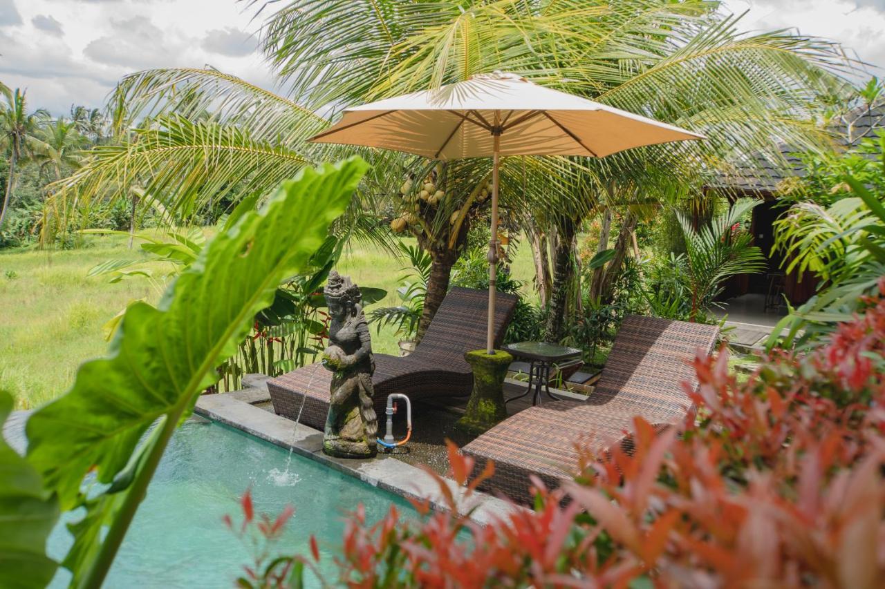 Mancur Guesthouse Ubud  Ngoại thất bức ảnh
