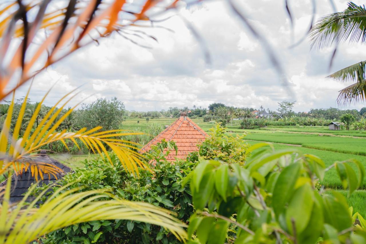 Mancur Guesthouse Ubud  Ngoại thất bức ảnh