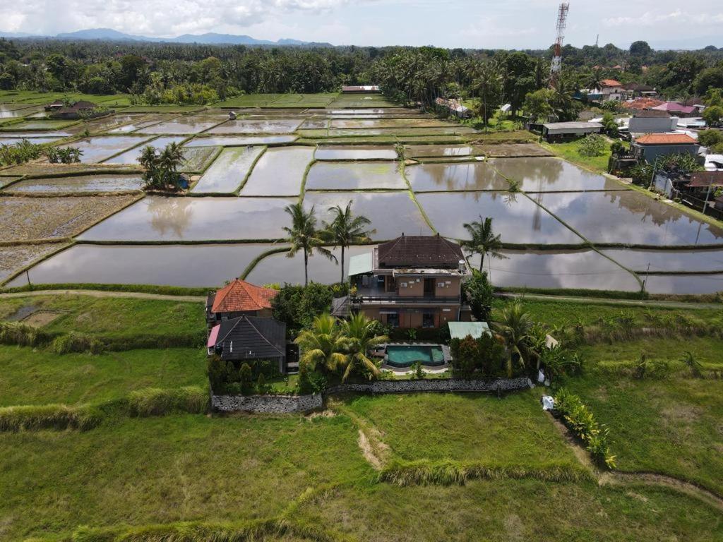 Mancur Guesthouse Ubud  Ngoại thất bức ảnh